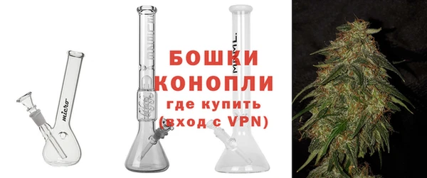 гидра Магас