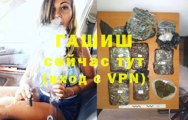 гидра Магас