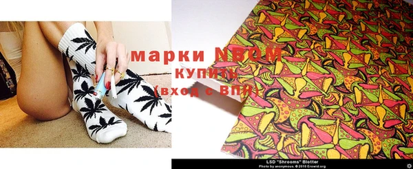 гидра Магас