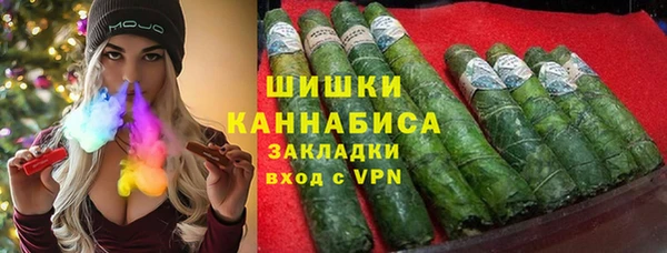 гидра Магас