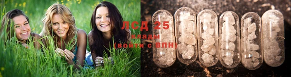 таблы Магадан