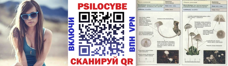 Галлюциногенные грибы Psilocybe  дарк нет клад  Невельск 